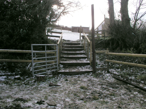 The Secret Garden is a sheltered area behind the barn. Prior to  the alpaca-friendly steps the way down from the field was an icy muddy  slide. 